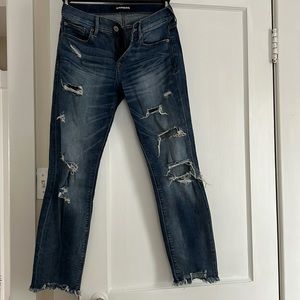 Express Skinny Jean